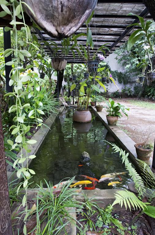 Lani'S House By The Ponds Hotel Viêng Chăn Ngoại thất bức ảnh