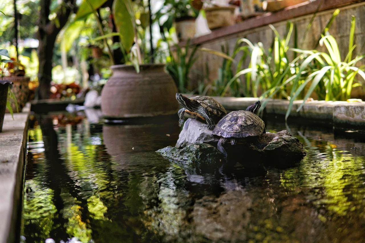 Lani'S House By The Ponds Hotel Viêng Chăn Ngoại thất bức ảnh